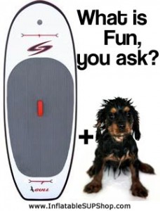 Surftech Gull SUP with Wet Dog