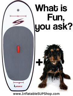 Surftech Gull SUP with Wet Dog
