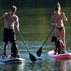Dogs on Extra Wide Yogi Paddleboards
